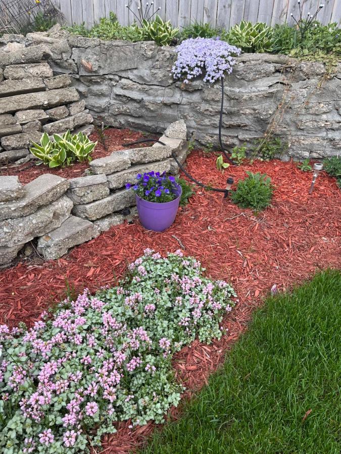 Villa Cozy Cape Cod Grand Rapids Exterior foto
